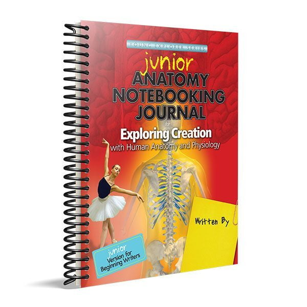 Human Anatomy & Physiology Junior Notebooking Journal