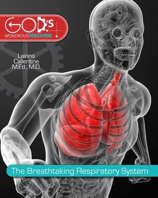 The Breaktaking Respiratory System