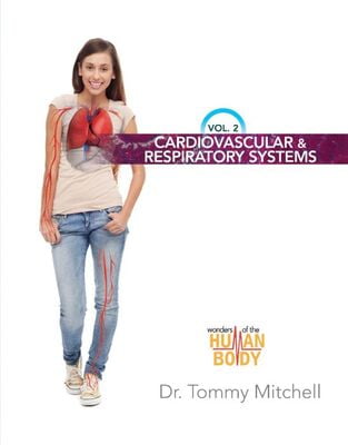 Introduction to Anatomy & Physiology Vol 2: Cardiovascular and Respiratory Systems