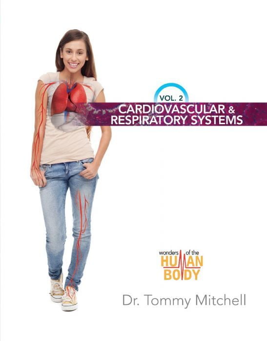 Introduction to Anatomy & Physiology Vol 2: Cardiovascular and Respiratory Systems